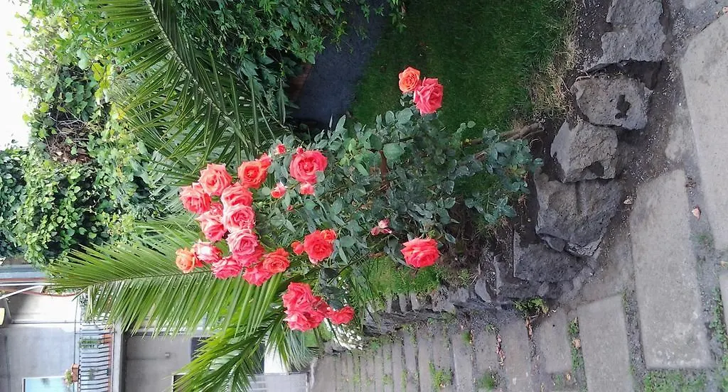 Сasa de vacaciones Villa Royal Etna Stars Zafferana Etnea