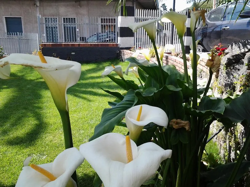 Royal Etna Stars Holiday home Zafferana Etnea
